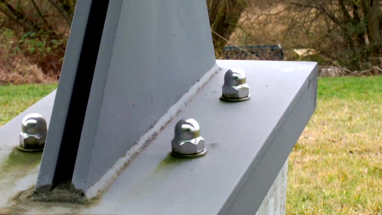 Best Comprehensive Air Testing for Mold Contaminants  in Carolina Beach, NC